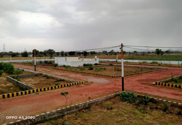latest property